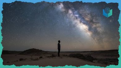 Environmental Sustainability in Islam